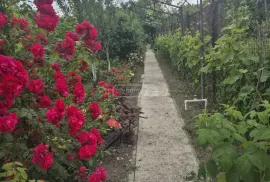 იყიდება სახლი, 7 ოთახიანი, მცხეთა, მუხრანი