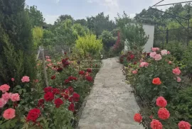 იყიდება სახლი, 7 ოთახიანი, მცხეთა, მუხრანი