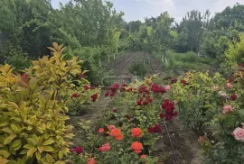 იყიდება სახლი, 7 ოთახიანი, მცხეთა, მუხრანი