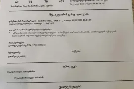 Land For Sale, Agricultural, Surami