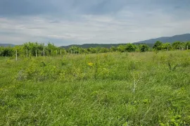 Land For Sale, Non Agricultural, Temqa