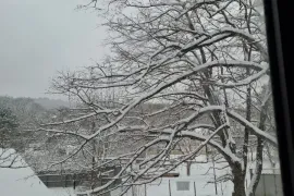 იყიდება სახლი, 5 ოთახიანი, თბილისის შემოგარენი, კიკეთი