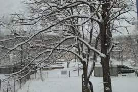 იყიდება სახლი, 5 ოთახიანი, თბილისის შემოგარენი, კიკეთი