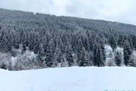 იყიდება მიწის ნაკვეთი, საინვესტიციო