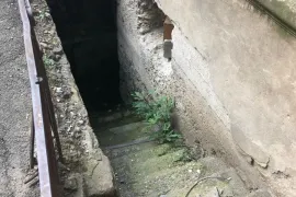 იყიდება, სარდაფი, ნაძალადევი