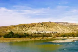 იყიდება მიწის ნაკვეთი, სასოფლო - სამეურნეო, ახალი ნიჩბისი