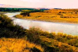 იყიდება მიწის ნაკვეთი, სასოფლო - სამეურნეო, ახალი ნიჩბისი