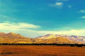 იყიდება მიწის ნაკვეთი, სასოფლო - სამეურნეო, ახალი ნიჩბისი