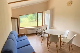 ქირავდება ბინა, 2 ოთახიანი, ახალი აშენებული, ბორჯომი, ბაკურიანი