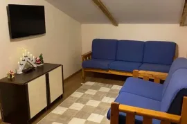 ქირავდება ბინა, 2 ოთახიანი, ახალი აშენებული, ბორჯომი, ბაკურიანი