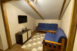 ქირავდება ბინა დღიურად, 2 ოთახიანი, ახალი აშენებული, ბორჯომი, ბაკურიანი