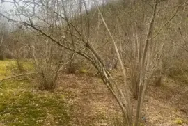 იყიდება მიწის ნაკვეთი