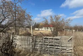 Продается Земля, Сельскохозяйственные, Дзвели Канда