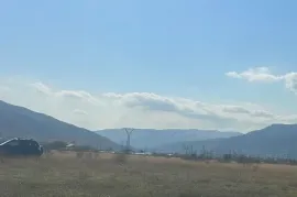 იყიდება მიწის ნაკვეთი, სასოფლო - სამეურნეო, საგურამო