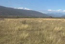 იყიდება მიწის ნაკვეთი, სასოფლო - სამეურნეო, საგურამო