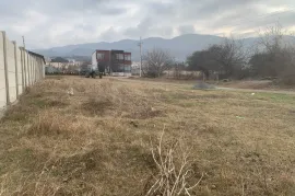 იყიდება მიწის ნაკვეთი, სასოფლო - სამეურნეო, საგურამო