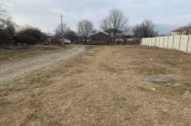 იყიდება მიწის ნაკვეთი, სასოფლო - სამეურნეო, საგურამო