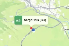 იყიდება მიწის ნაკვეთი, სასოფლო - სამეურნეო, წალასყური