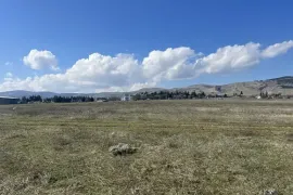 იყიდება მიწის ნაკვეთი, სასოფლო - სამეურნეო, წალასყური