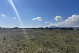 იყიდება მიწის ნაკვეთი, სასოფლო - სამეურნეო, წალასყური