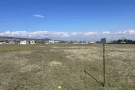 იყიდება მიწის ნაკვეთი, სასოფლო - სამეურნეო, წალასყური