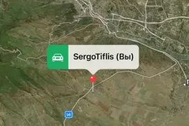 იყიდება მიწის ნაკვეთი, სასოფლო - სამეურნეო, წალასყური