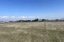 იყიდება მიწის ნაკვეთი, სასოფლო - სამეურნეო, წალასყური