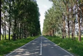 იყიდება მიწის ნაკვეთი, სასოფლო - სამეურნეო, ღულელები