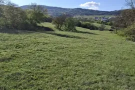 იყიდება მიწის ნაკვეთი, სასოფლო - სამეურნეო, წავკისი