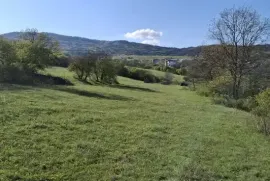 იყიდება მიწის ნაკვეთი, სასოფლო - სამეურნეო, წავკისი