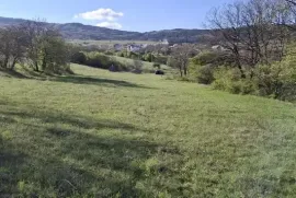 იყიდება მიწის ნაკვეთი, სასოფლო - სამეურნეო, წავკისი