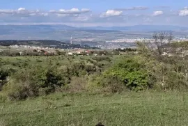 იყიდება მიწის ნაკვეთი, სასოფლო - სამეურნეო, წავკისი