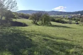 იყიდება მიწის ნაკვეთი, სასოფლო - სამეურნეო, წავკისი