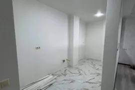 მალიარკა