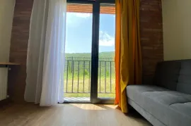 Аренда, 2 Kомнатная, Новостройка, Тбилиси, saburtalo