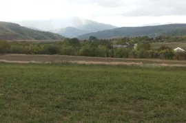 იყიდება მიწის ნაკვეთი, სასოფლო - სამეურნეო, ყარსიმაანთკარი