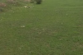 Land For Sale, Commercial, Misaqtsieli