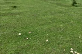 Land For Sale, Commercial, Misaqtsieli