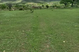 Land For Sale, Commercial, Misaqtsieli