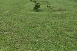 Land For Sale, Commercial, Misaqtsieli