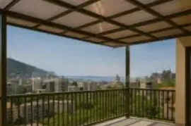 რკინის ნაკეგობები