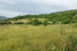 Land For Sale, Agricultural, Bazaleti 