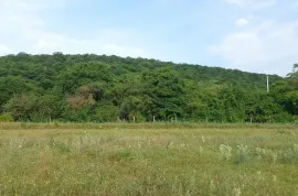 Land For Sale, Agricultural, Bazaleti 