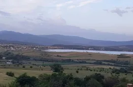 Land For Sale, Agricultural, Bazaleti 