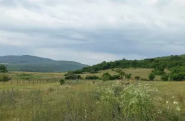 Land For Sale, Agricultural, Bazaleti 