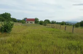 Land For Sale, Agricultural, Bazaleti 