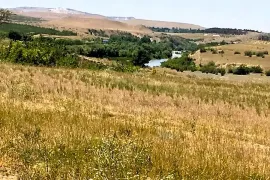 Land For Sale, Agricultural