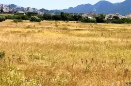 Land For Sale, Agricultural