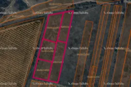 Land For Sale, Agricultural