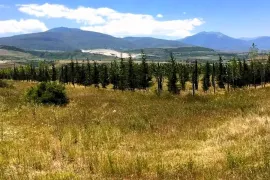 Land For Sale, Agricultural